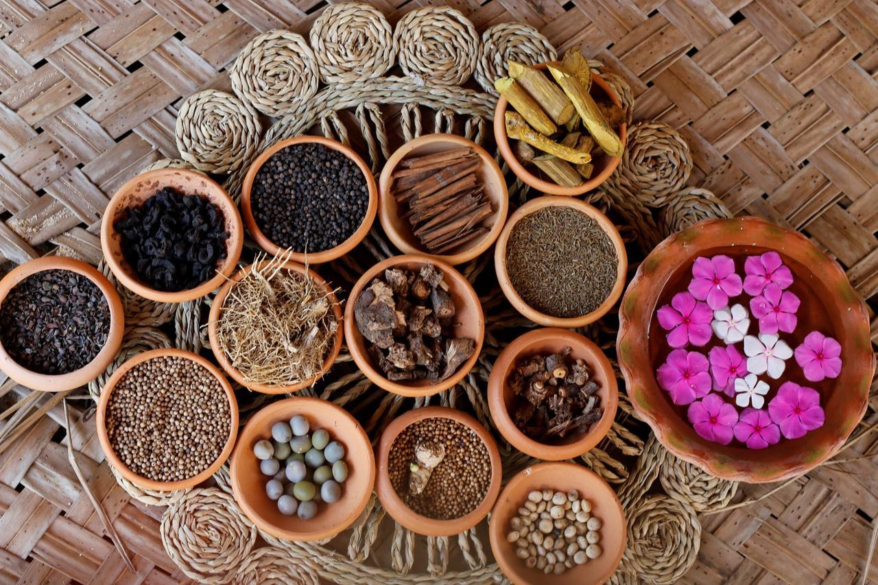 فندق شاطئ وسبا آشا تانجالي المظهر الخارجي الصورة